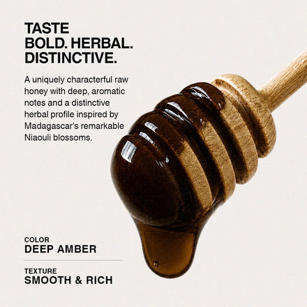 Raw Madagascan Niaouli Honey